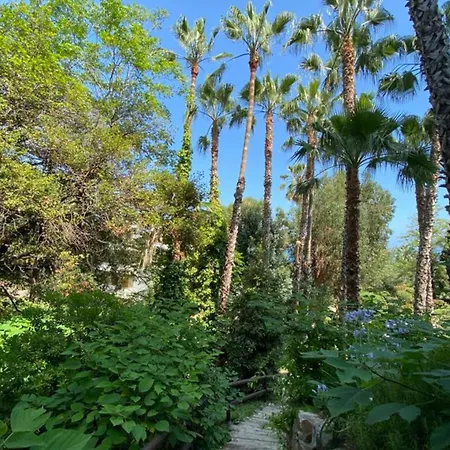 Comfortable With Exceptional Sea View * Vallauris